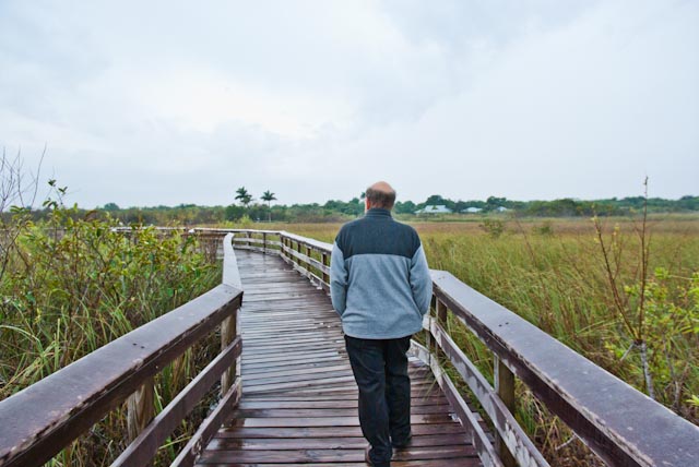 Anhinga Trail