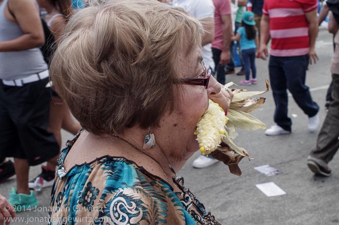 2014 Calle Ocho Carnival Miami