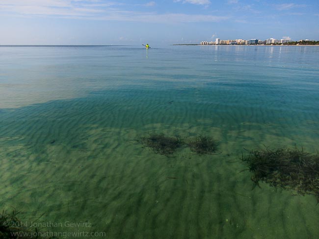 Circumnavigating Key Biscayne by Kayak