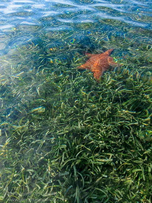 Circumnavigating Key Biscayne by Kayak