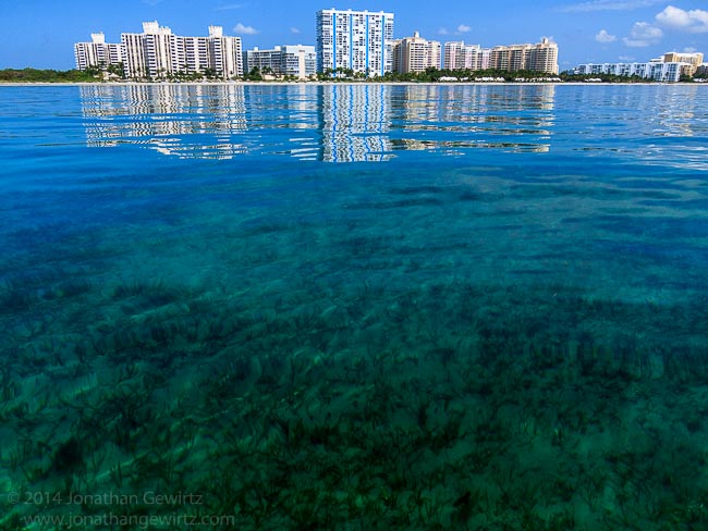 Circumnavigating Key Biscayne by Kayak