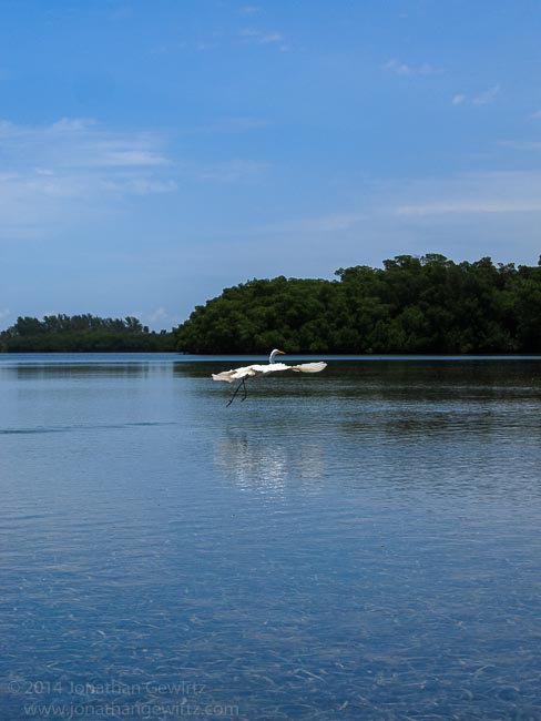 Circumnavigating Key Biscayne by Kayak