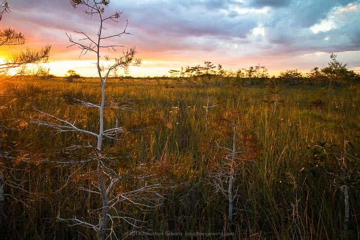 Everglades Pa-hay-okee Sunset