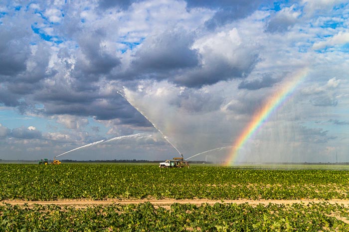 irrigation rainbow
