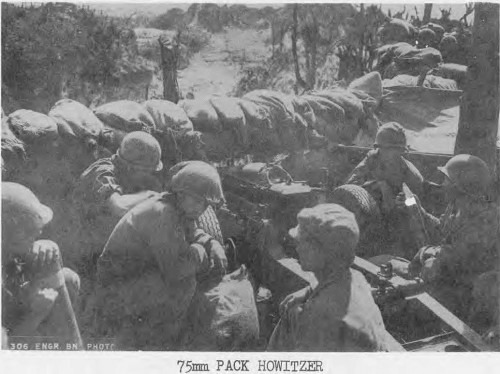 A Sand Bagged Hill Top Strong Point on Peleliu with 75mm Pack Howitzer. Both Sand Bags and 75mm Were Delivered by Tramway.