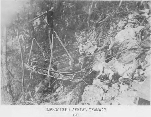 81st Infantry Division's Aerial Tramway Moving Supplies on Peleliu, Sept - Nov 1944