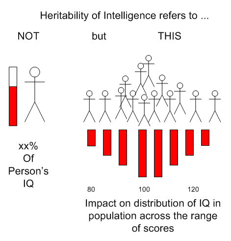 Heritability of IQ